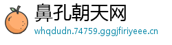 鼻孔朝天网
